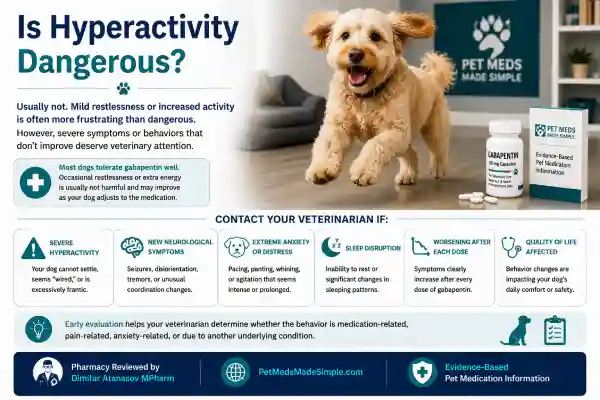 Why Is My Dog Hyper After Gabapentin