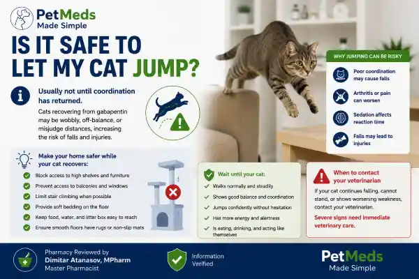 Can Gabapentin Cause Weak Back Legs in Cats