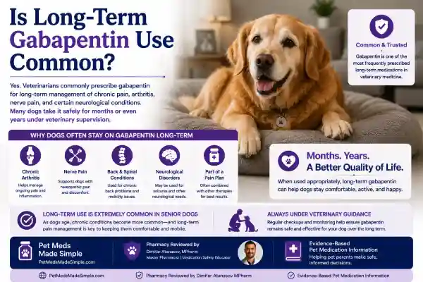 Can Dogs Take Gabapentin Long-Term Safely?