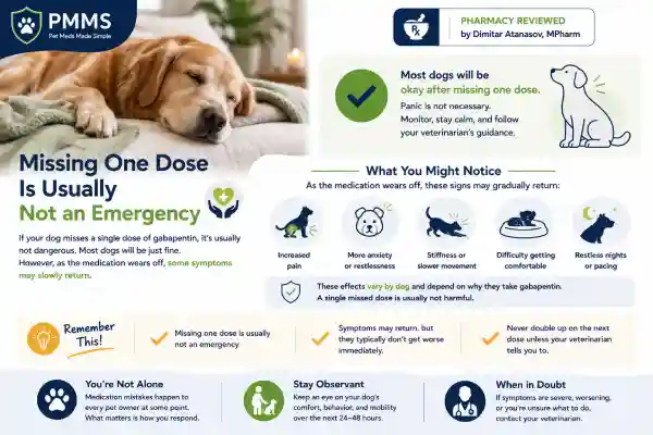 What Happens If My Dog Misses Gabapentin