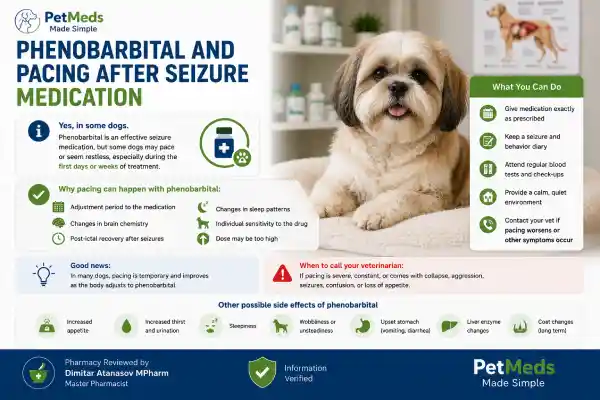 Why Is My Dog Pacing After Seizure Medication