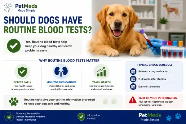 Can NSAIDs Cause Kidney Problems in Dogs