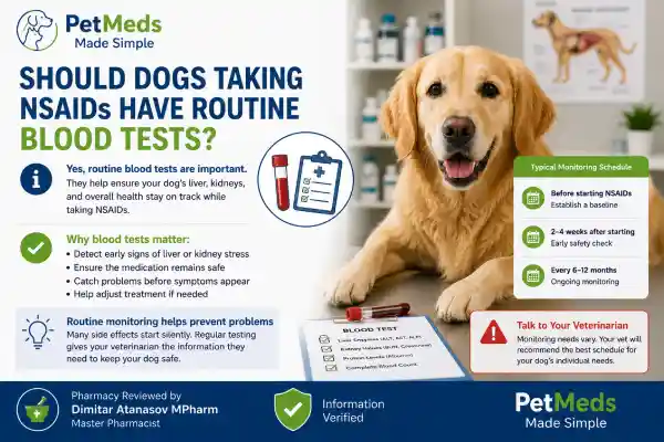 Can NSAIDs Cause Liver Damage in Dogs