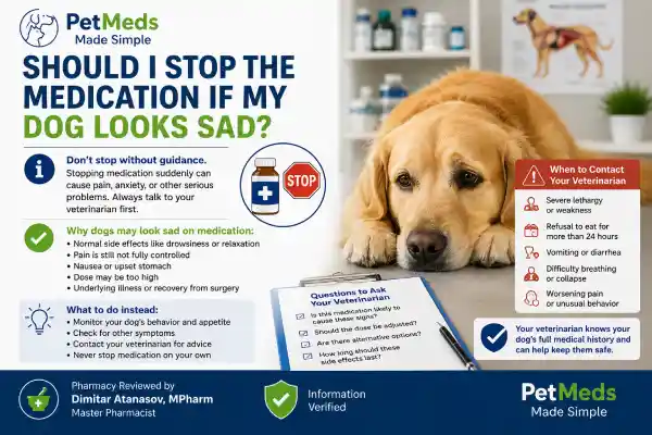 Why Does My Dog Look Sad After Medication