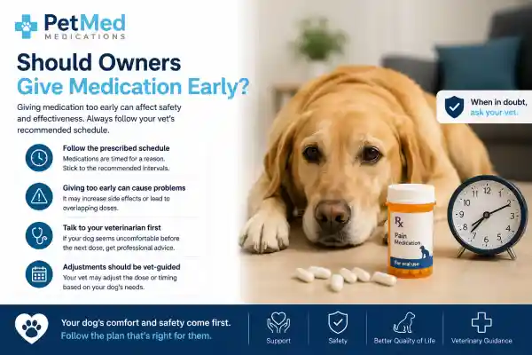 Why Does My Dog Whine Before Medication Time