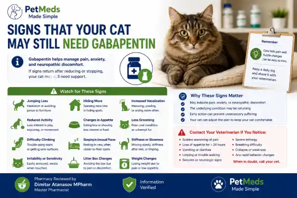 What Happens If Cats Suddenly Stop Gabapentin?