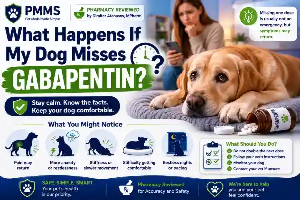 What Happens If My Dog Misses Gabapentin