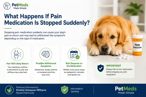 Can Dogs Become Dependent on Pain Medication