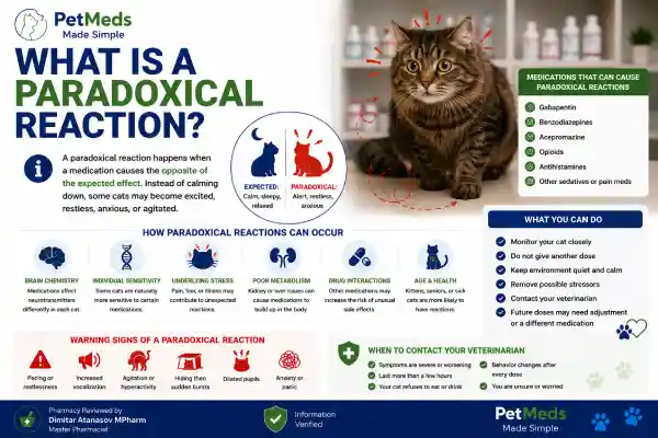 Can Gabapentin Cause Anxiety in Cats