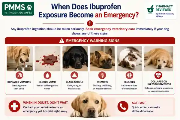 Can Dogs Take Ibuprofen Accidentally