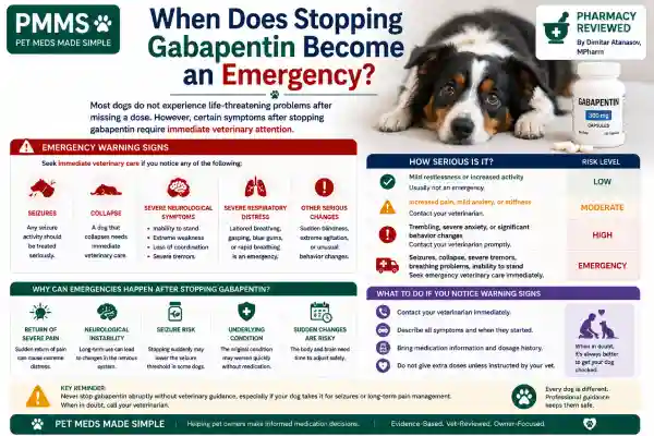 What Happens If Dogs Suddenly Stop Gabapentin?