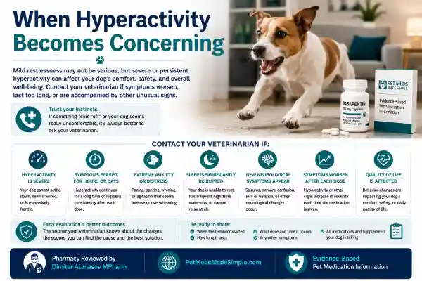 Why Is My Dog Hyper After Gabapentin