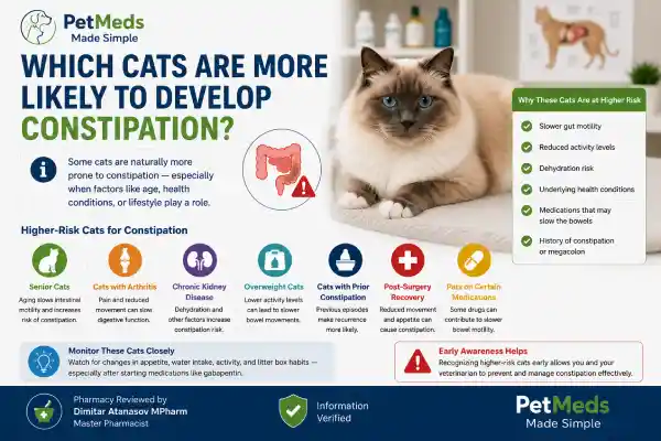 Can Gabapentin Cause Constipation in Cats