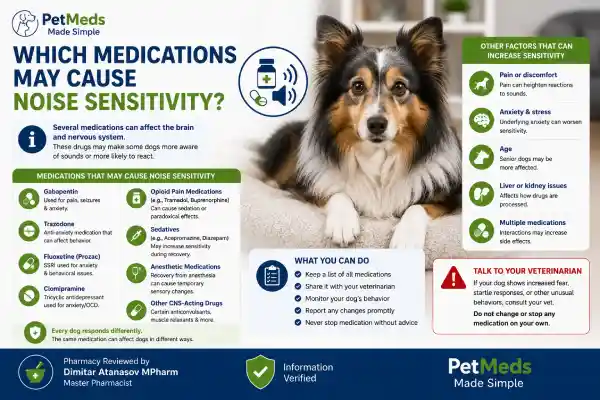 Why Is My Dog Sensitive to Noise After Medication