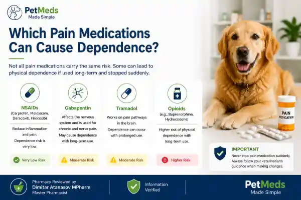 Can Dogs Become Dependent on Pain Medication