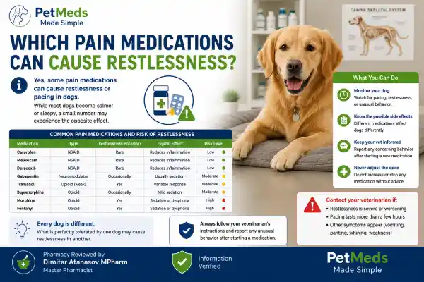 Why Is My Dog Pacing After Pain Medication
