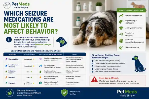 Can Seizure Medication Cause Anxiety in Dogs