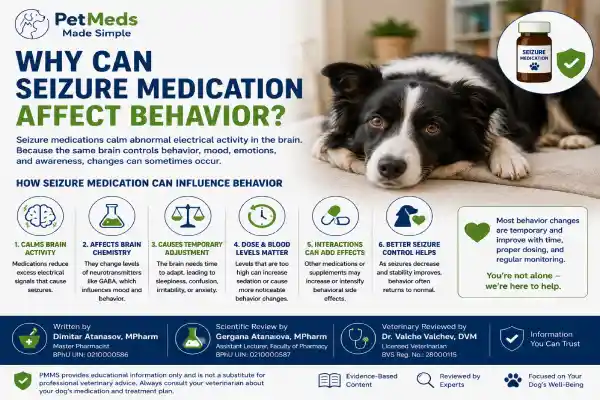 Can Seizure Medication Change Dog Personality