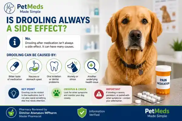 Why Is My Dog Drooling After Medication