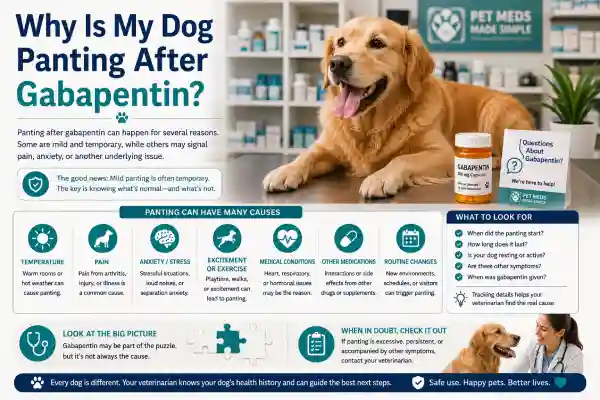 Why Is My Dog Panting After Gabapentin
