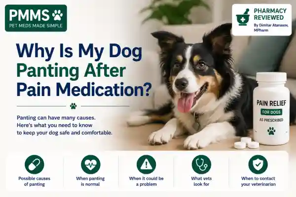 Why Is My Dog Panting After Pain Medication