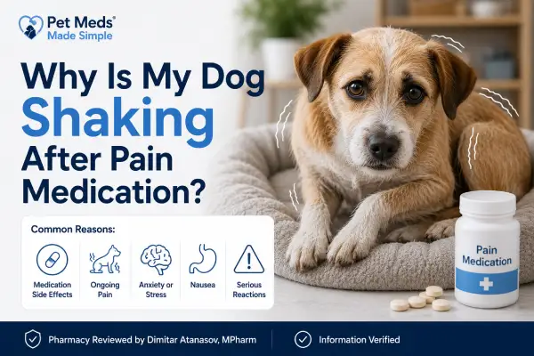 Why Is My Dog Shaking After Pain Medication