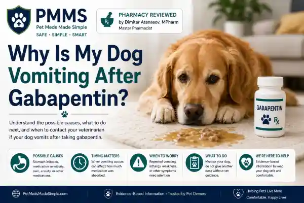 Why Is My Dog Vomiting After Gabapentin