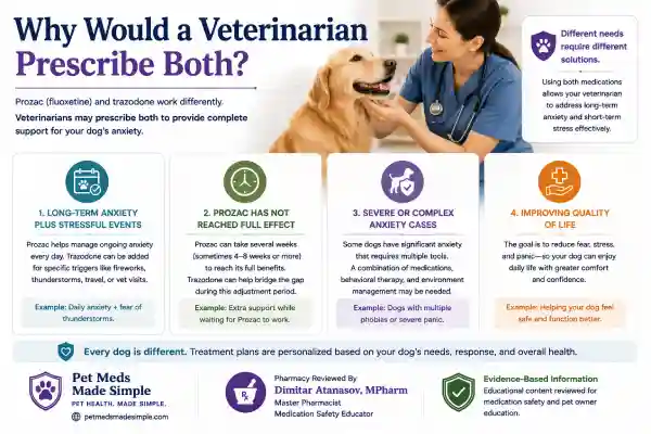 Can Dogs Take Prozac and Trazodone Together