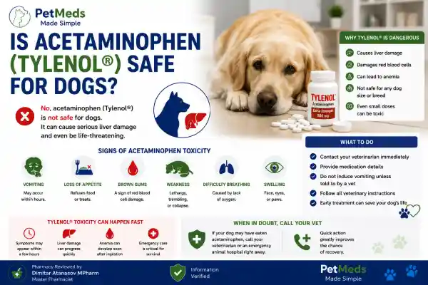 Can Dogs Take Human Painkillers Safely
