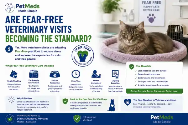 Can Cats Take Gabapentin Before Vet Visits