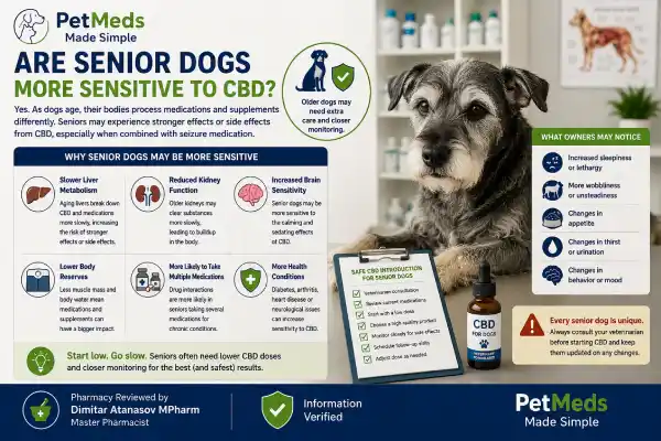 Can Dogs Take CBD With Seizure Medication