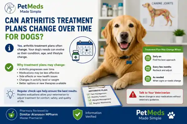 Can Dogs Take Gabapentin for Arthritis Forever