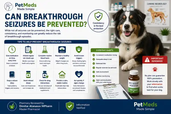 Why Does My Dog Have Breakthrough Seizures