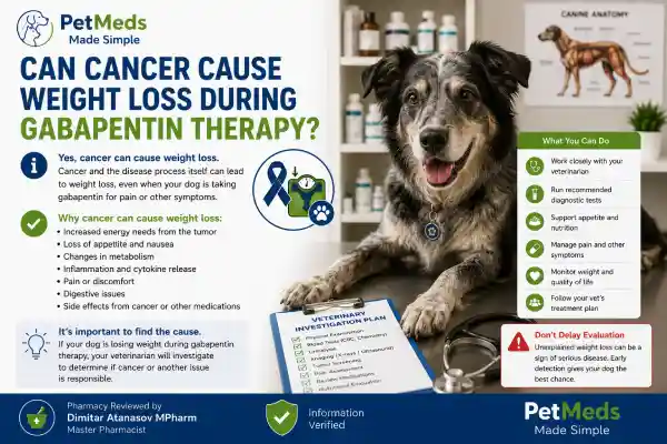 Can Gabapentin Cause Weight Loss in Dogs