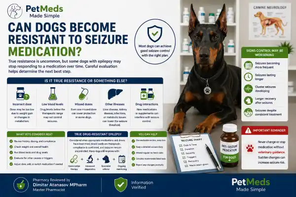 Why Does My Dog Have Breakthrough Seizures