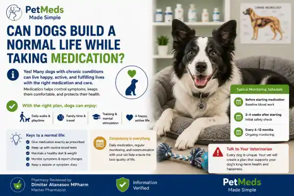 Can Dogs Take Seizure Medication Long-Term Safely