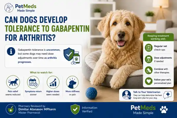 Can Dogs Take Gabapentin for Arthritis Forever