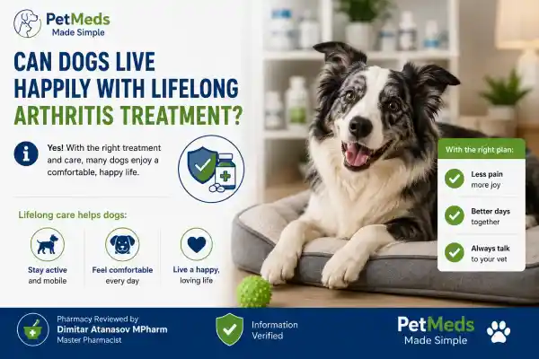 Can Dogs Take Gabapentin for Arthritis Forever
