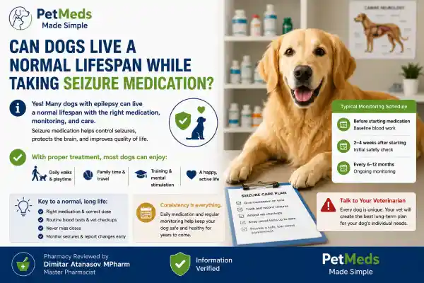 Can Dogs Take Seizure Medication Long-Term Safely