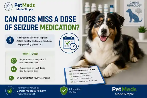 Can Dogs Miss a Dose of Seizure Medication