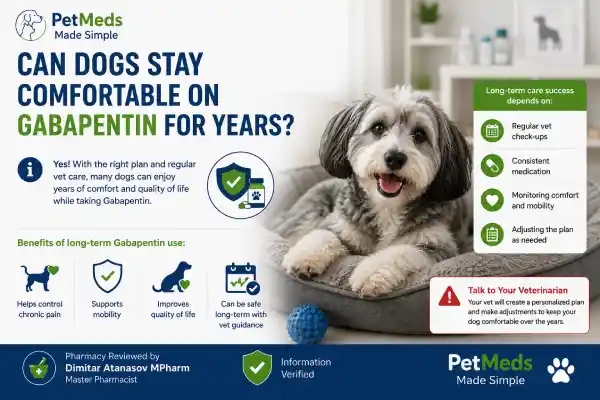 Can Dogs Take Gabapentin for Arthritis Forever