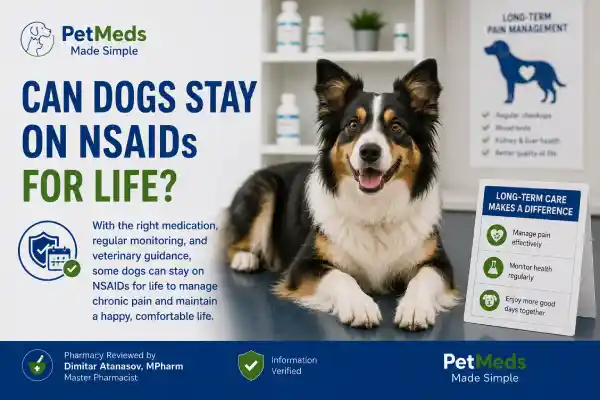 Can Dogs Stay on NSAIDs for Life