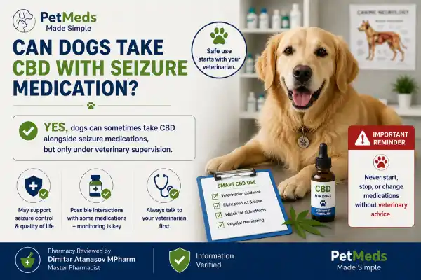 Can Dogs Take CBD With Seizure Medication