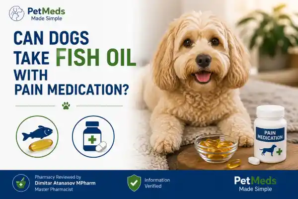 Can Dogs Take Fish Oil With Pain Medication