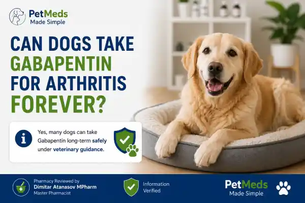 Can Dogs Take Gabapentin for Arthritis Forever