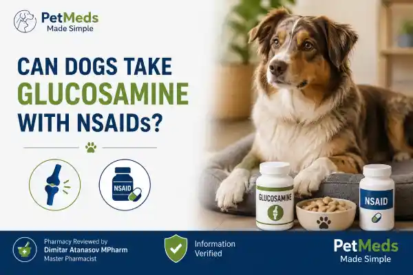 Can Dogs Take Glucosamine With NSAIDs