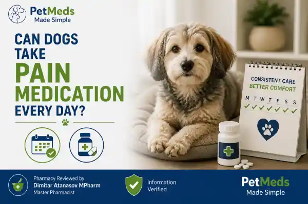 Can Dogs Take Pain Medication Every Day