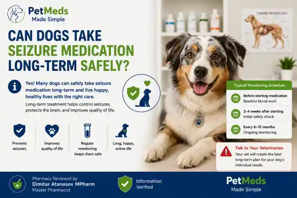 Can Dogs Take Seizure Medication Long-Term Safely