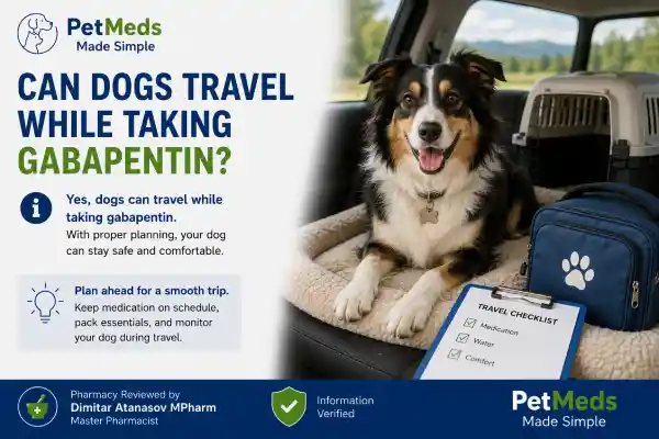 Can Dogs Travel While Taking Gabapentin