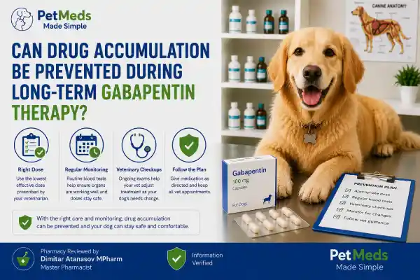 Does Gabapentin Build Up in a Dog's System